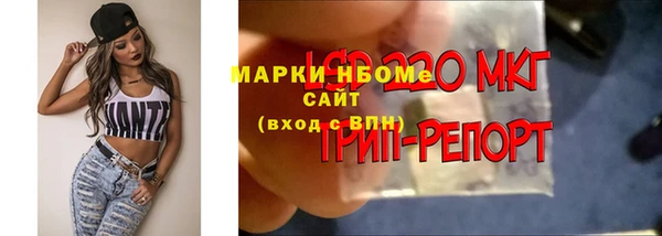PSILOCYBIN Заводоуковск
