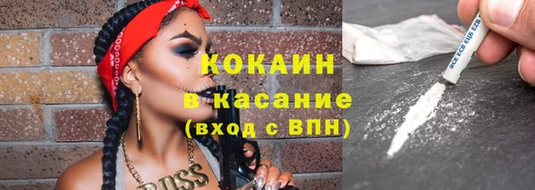 PSILOCYBIN Заводоуковск
