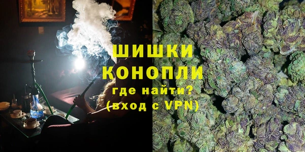 PSILOCYBIN Заводоуковск