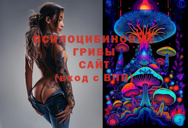 PSILOCYBIN Заводоуковск