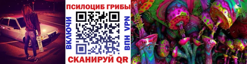 mega сайт  Инта  Псилоцибиновые грибы Psilocybe 